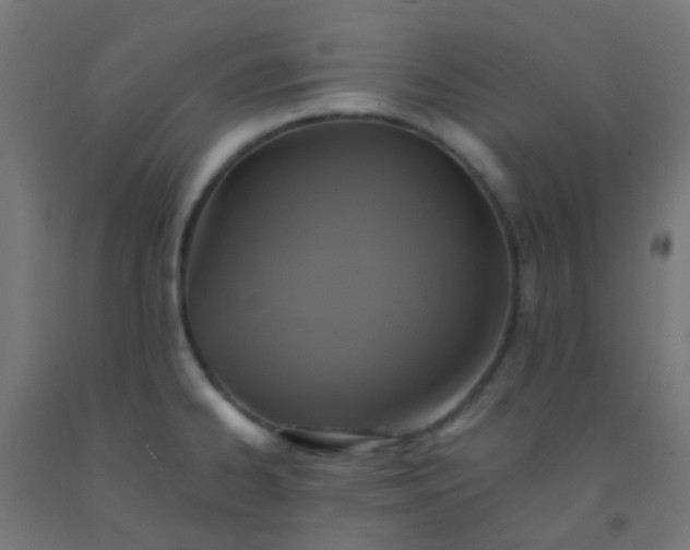 X0000092321334200709281359