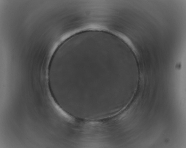 X0000092321335200709281359
