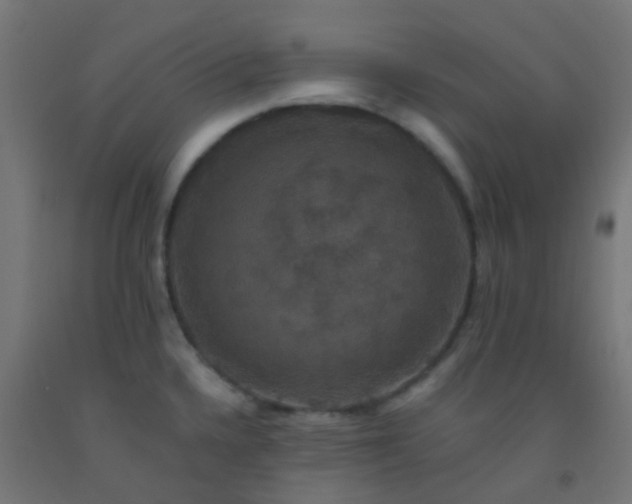 X0000092321336200709281359