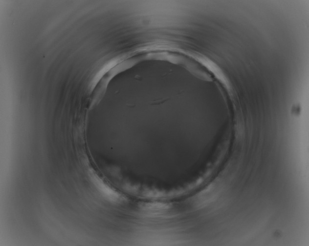 X0000092321337200709281359