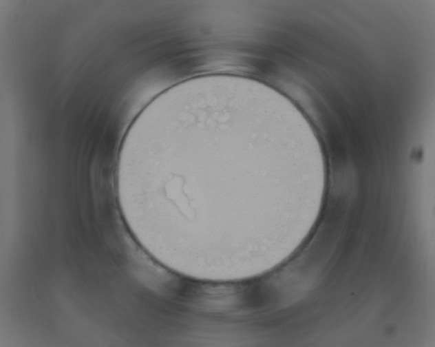 X0000092321338200709281359