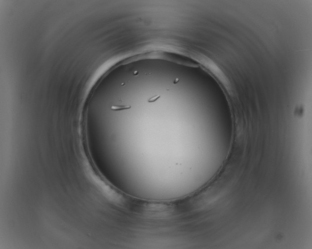 X0000092321339200709281359