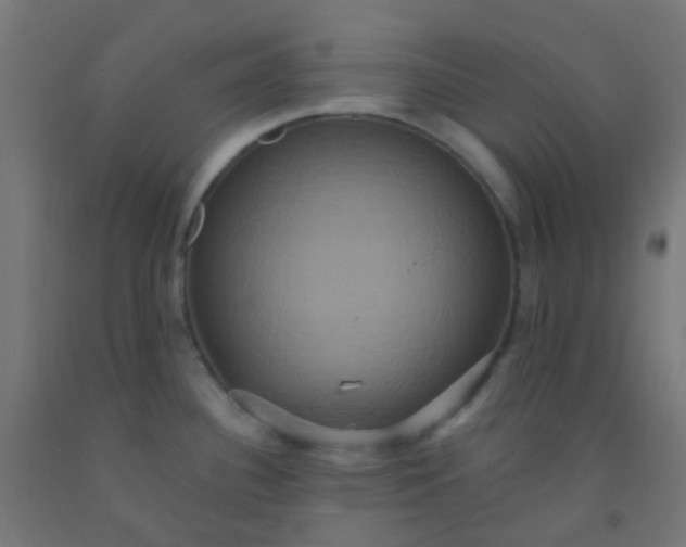 X0000092321340200709281359