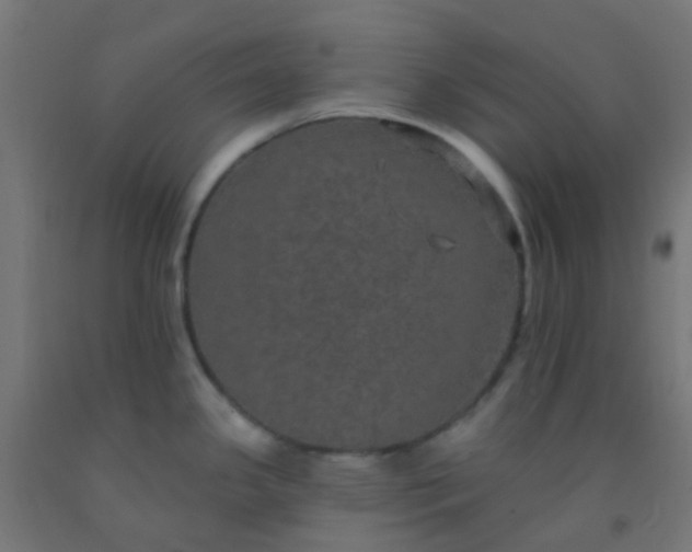 X0000092321341200709281359