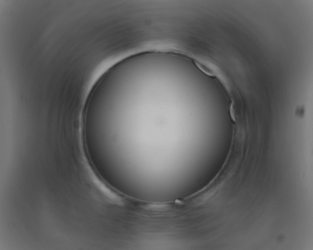 X0000092321343200709281359