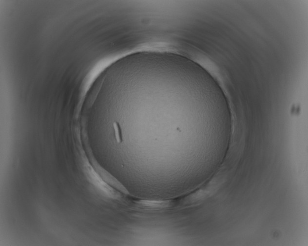 X0000092321344200709281359