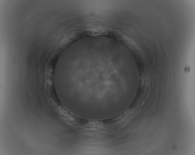 X0000092321346200709281358