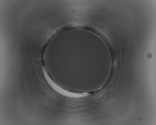 X0000092321348200709281358
