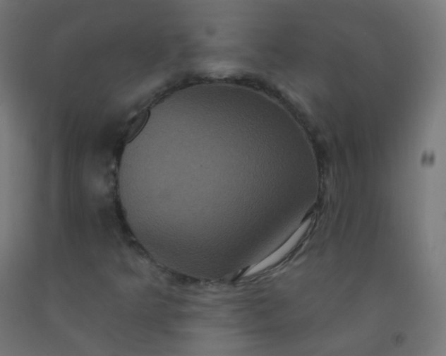 X0000092321349200709281358