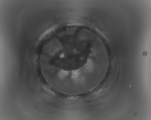X0000092321351200709281358