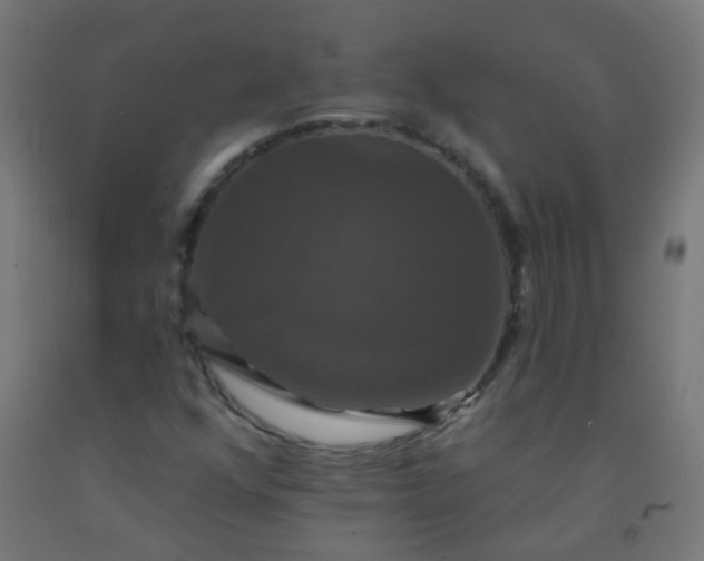 X0000092321352200709281358