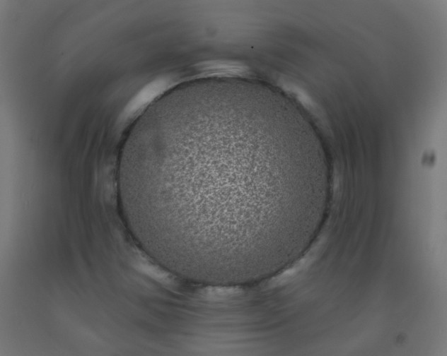 X0000092321354200709281358