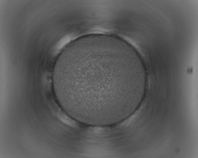 X0000092321355200709281358