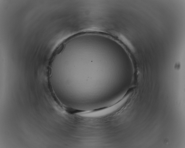 X0000092321356200709281358