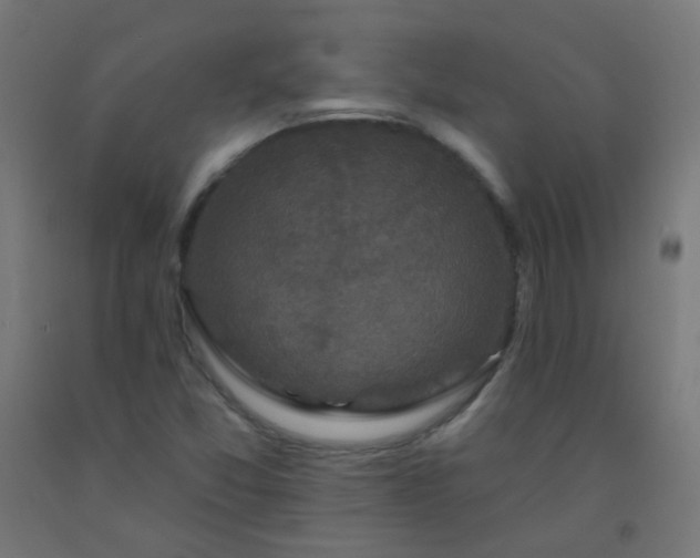 X0000092321357200709281358