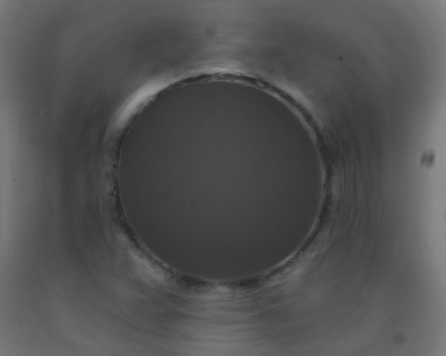 X0000092321359200709281358