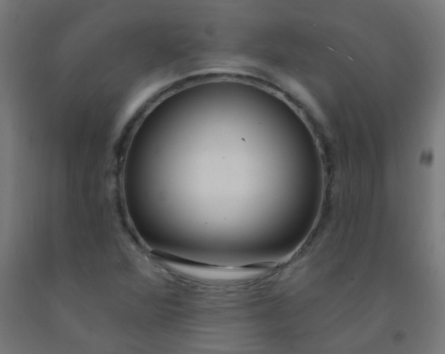 X0000092321360200709281358