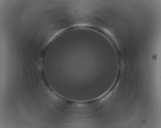 X0000092321361200709281358