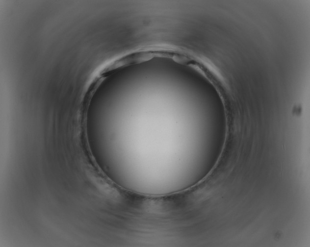 X0000092321364200709281358