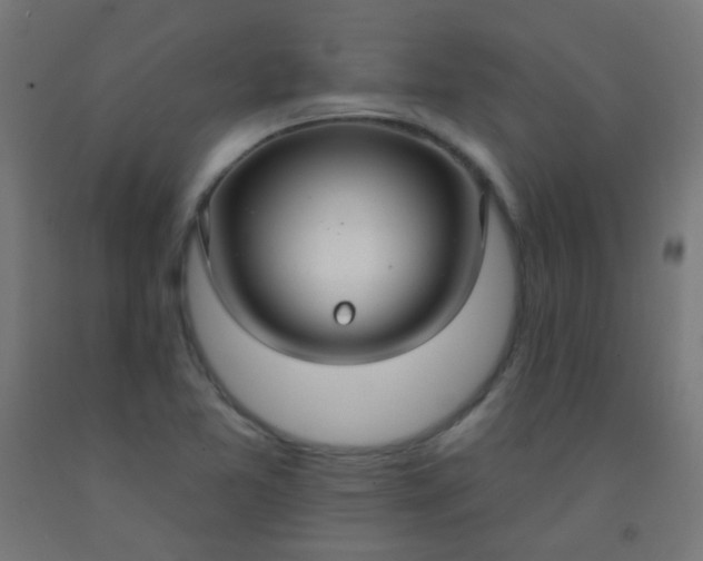 X0000092321365200709281358