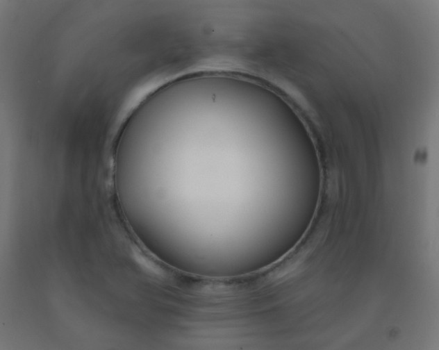 X0000092321366200709281358