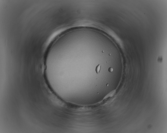 X0000092321368200709281358