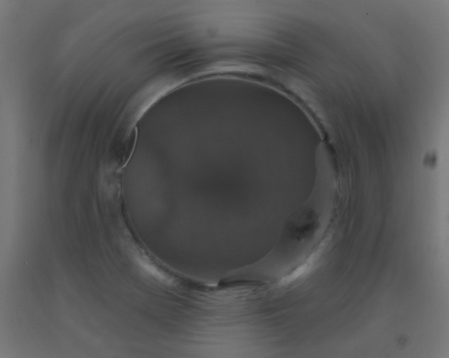 X0000092321369200709281358
