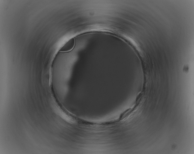X0000092321371200709281358