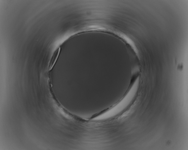 X0000092321373200709281358