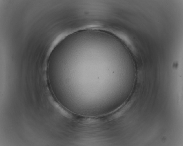 X0000092321374200709281358