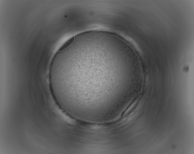 X0000092321375200709281358