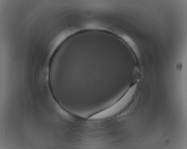 X0000092321376200709281358