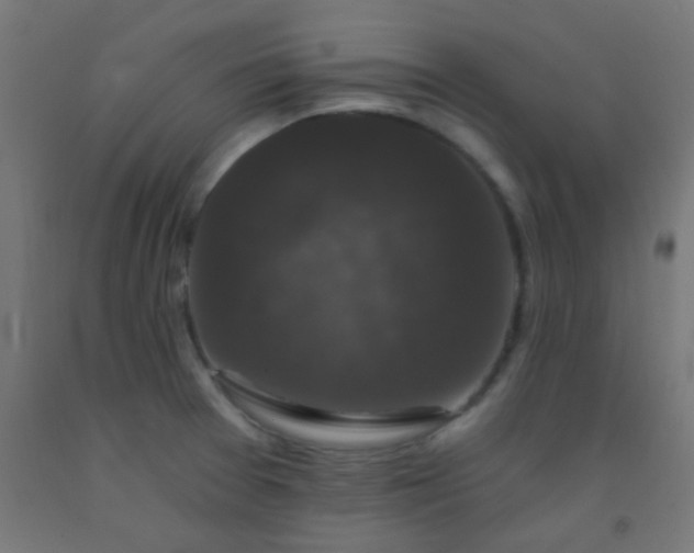 X0000092321377200709281358