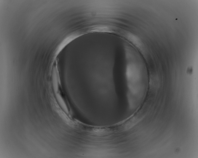 X0000092321378200709281358