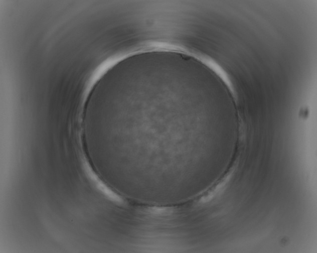 X0000092321381200709281358