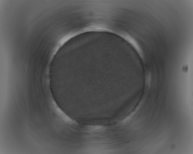 X0000092321382200709281358