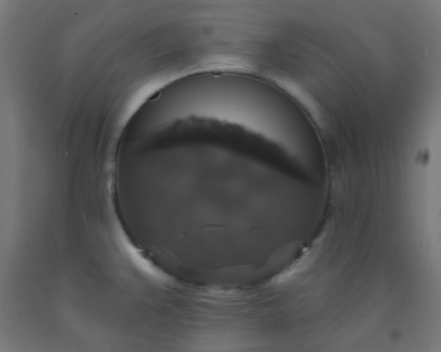X0000092321383200709281358