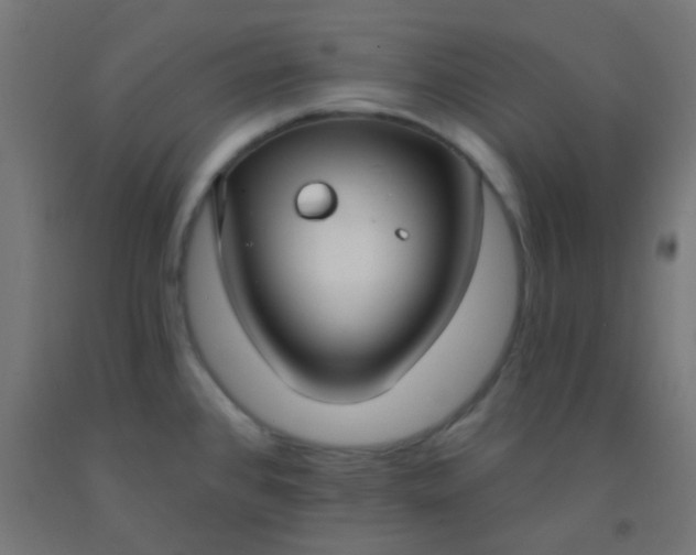 X0000092321384200709281358