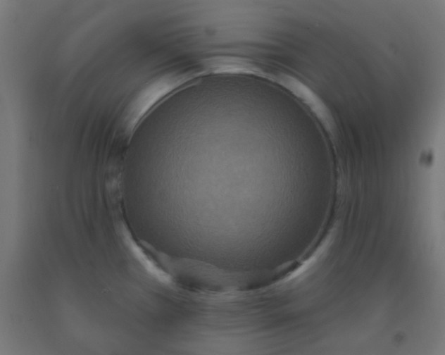 X0000092321385200709281358