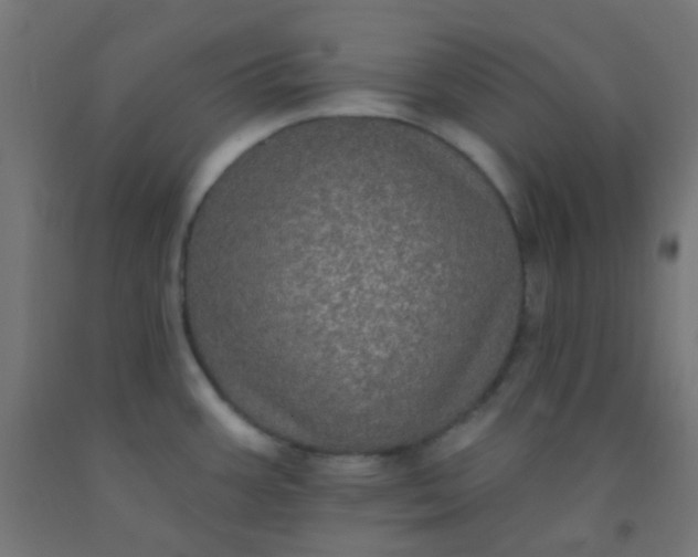 X0000092321387200709281358