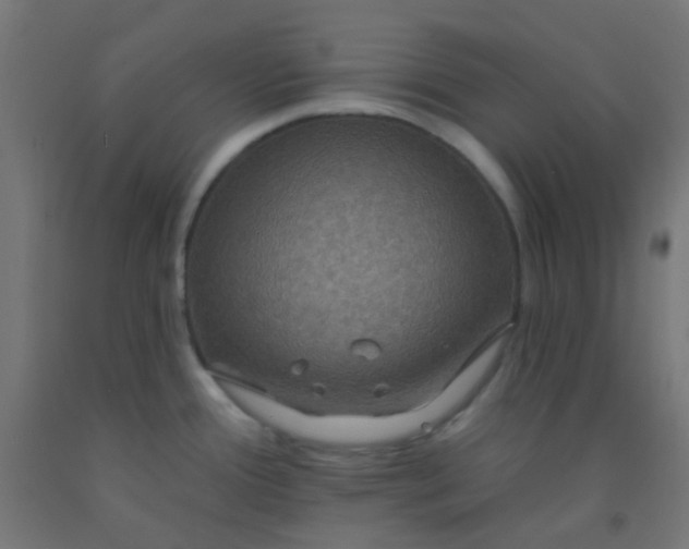 X0000092321388200709281358
