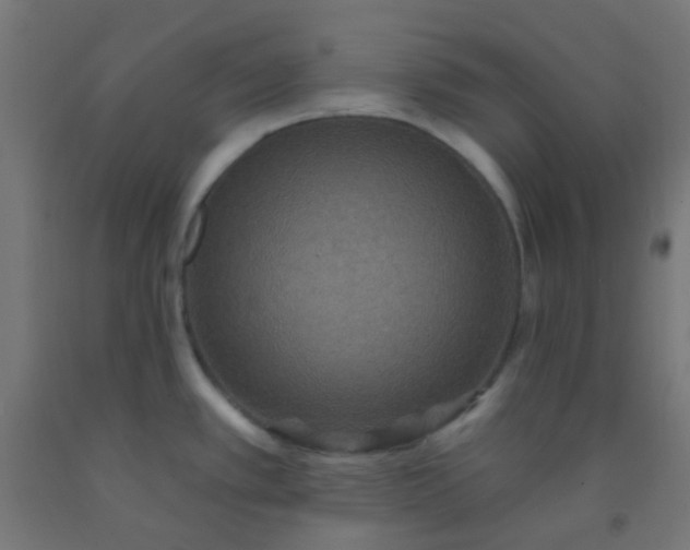 X0000092321389200709281358