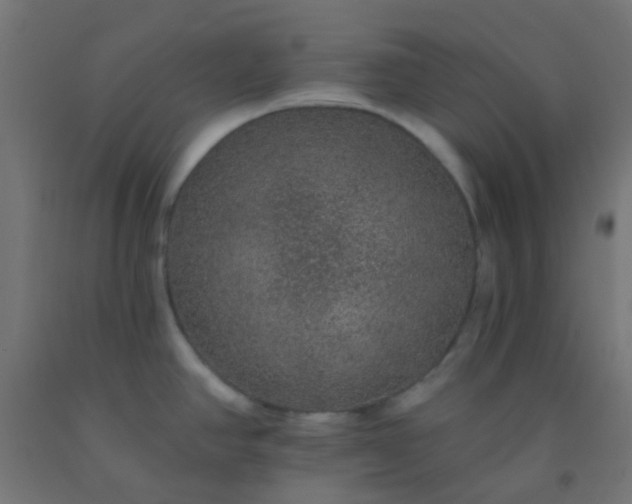 X0000092321390200709281358