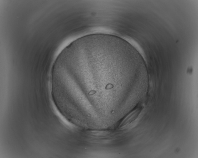 X0000092321391200709281358