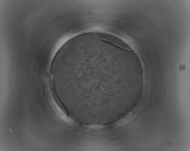 X0000092321392200709281358