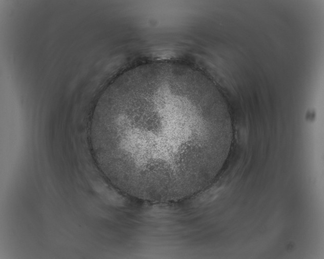 X0000092321393200709281357