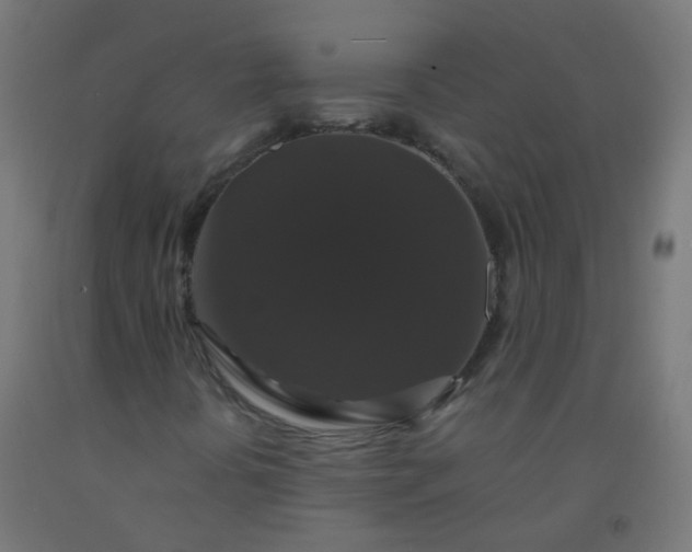 X0000092321394200709281357