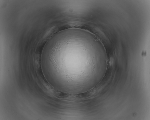 X0000092321396200709281357