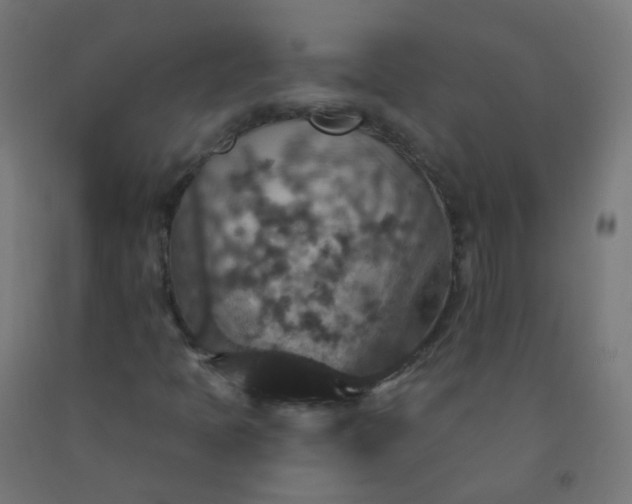 X0000092321397200709281357