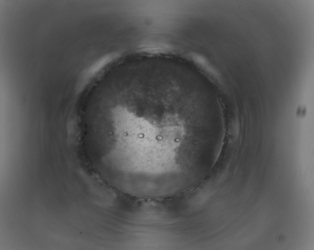 X0000092321398200709281357